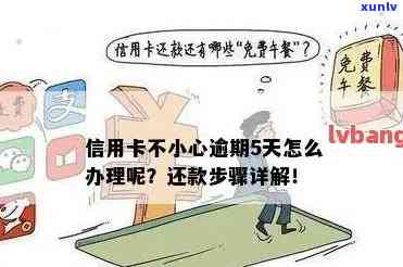 信用卡逾期换卡攻略：如何避免秒扣并快速恢复信用