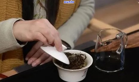 普洱茶保杯泡法全解析：闷泡、冲泡还是浸泡？哪种方式最合适？