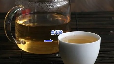 普洱茶泡法：用什么杯子最合适？