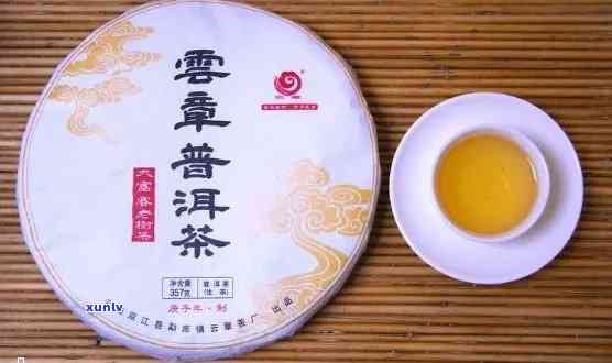 聚云春普洱茶怎么样啊：好喝吗？值得买吗？