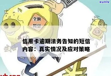 信用卡逾期法院文件真实性调查：解读法院下达的逾期通知信及如何应对