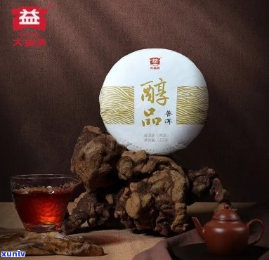 大益普洱茶醇品：品质越，回味悠长的新选择