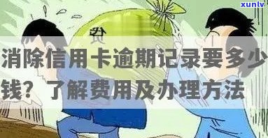 消除信用卡逾期记录的费用及详细解决步骤：您需要知道的一切