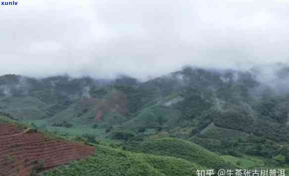 普洱茶六大茶山及其特点，了解这些茶山有助于挑选合适的茶叶