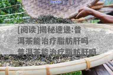 普洱茶：全面解析其对脂肪肝的治疗效果及预防措