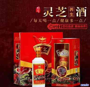 一品国芝酒价格表与灵芝液，天津一品国芝酒业的全貌