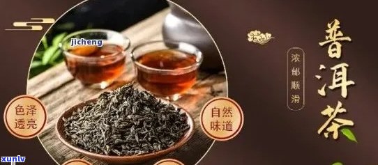 普洱茶的健益处：科学解析其防癌功效与潜在风险