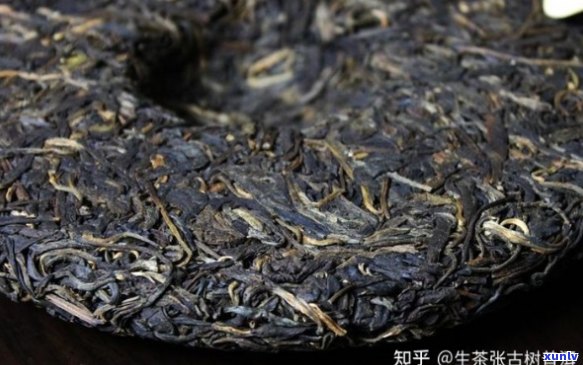 易武普洱茶品种、名山寨与全解析：产地与特色一览