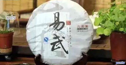 易武普洱茶全价位分析：从入门级到高端品质，一目了然的价格参考