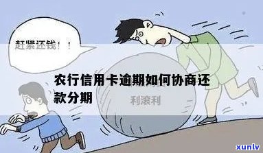 农行信用卡逾期黑名单后如何协商分期还款？了解详细步骤和注意事项