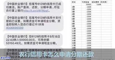 农行信用卡逾期黑名单后如何协商分期还款？了解详细步骤和注意事项