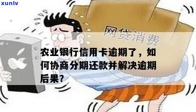 农行信用卡逾期黑名单后如何协商分期还款？了解详细步骤和注意事项