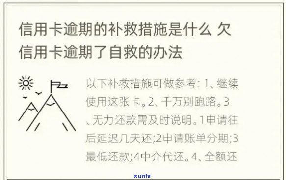 信用卡欠款减免：真实性、条件、流程及可能的替代方案全面解析