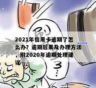 2021年信用卡逾期怎么办：政策、后果与办理指南