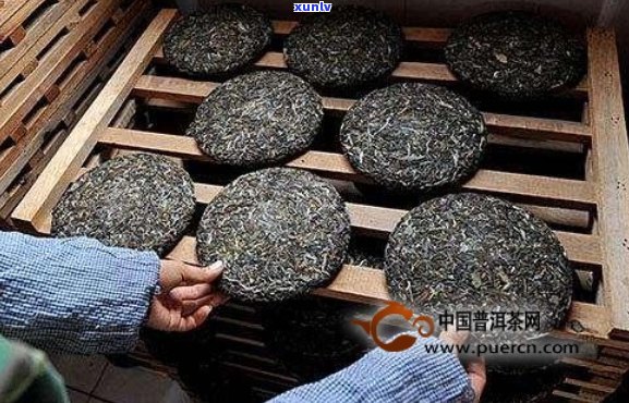 普洱茶熟茶：干仓与湿仓对比解析，如何选择适合的存方式？