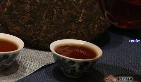 新福州优质普洱茶批量供应，批发价格与品质保证