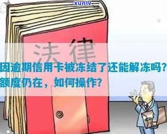 逾期信用卡被冻结解冻办法：因逾期信用卡被冻结了还能解冻吗？