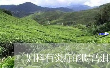 女性患有宫颈炎时可以喝普洱茶吗？