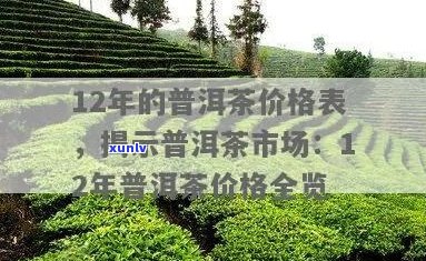 12年的普洱茶价格表，了解12年普洱茶的质量与价值