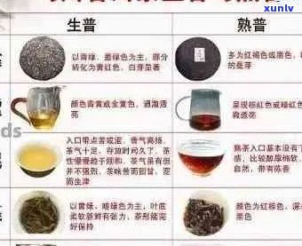 源普洱茶叶品质如何？了解购买建议与口感体验