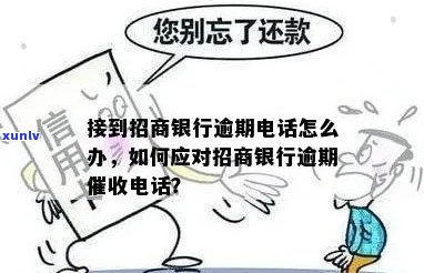 招商逾期 *** 解决方案：0571号码详解、处理流程与应对策略