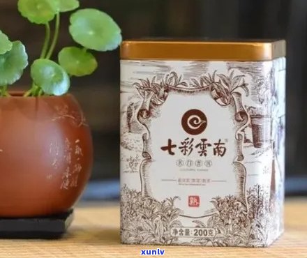 七彩云南普洱茶品质如何？值得收藏吗？好在哪里？能购买吗？是否值得保留？