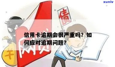 信用卡逾期问题日益严重：如何应对与防范？