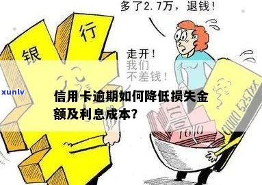 新信用卡逾期罚息上升，如何应对和降低信用成本？