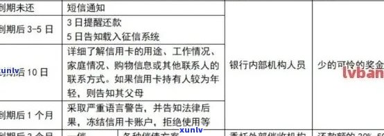 信用卡逾期查询策略：如何获取详细信息，避免误判与错过机会