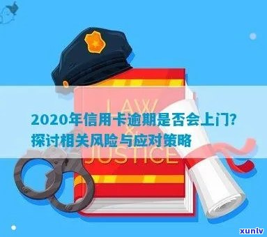 2020年信用卡违约风险与应对策略分析