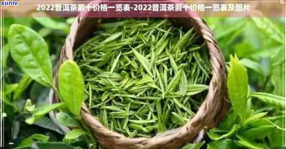 2022年景迈普洱茶生茶价格表全方位解析，让你轻松了解茶叶行情