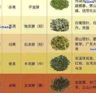 普洱茶叶价格大全：各种等级和品种的市场行情解析