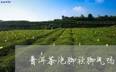 喝普洱茶对治疗脚气及女性脚气的效用和注意事项