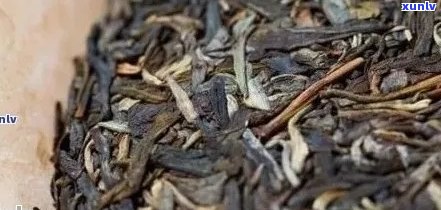 普洱茶的性质：寒性还是性？探讨其独特的发酵过程对茶叶性质的影响