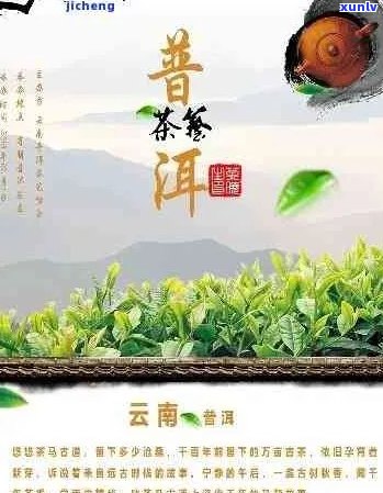 普洱茶历文化名城：普洱茶的悠久历与文化渊源简介