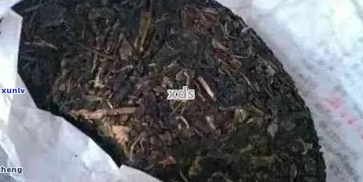 包普洱茶饼的纸长霉