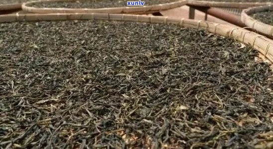 普洱茶回是什么感觉：原因、 *** 与熟茶体验