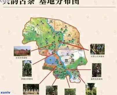 普洱茶场地优越排行，哪里寻觅？探寻普洱茶基地位置