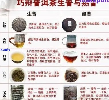 普洱茶十大基本属性解析：全面了解普洱茶的魅力与特点