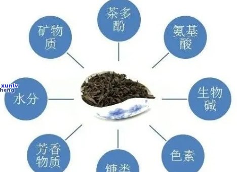 普洱茶十大基本属性解析：全面了解普洱茶的魅力与特点