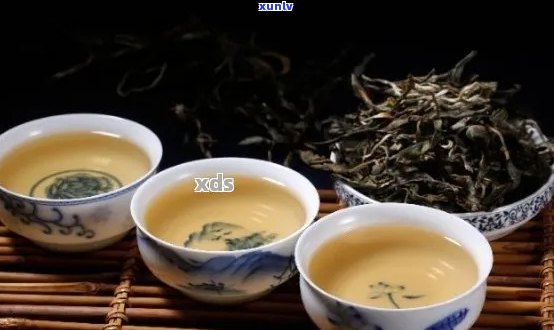 深入剖析：揭秘十大普洱茶的优缺点，让你喝出真正的好茶