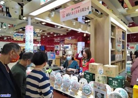 普洱茶十大名品全解析：品质、产地、口感及选购指南一次搞定