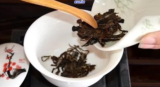 冲泡普洱茶的比例与一杯所需的茶叶克数