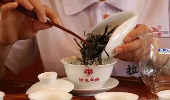 普洱茶冲泡比例：合适的茶叶与水的比例是多少？