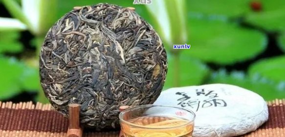 普洱茶仓味重的原因、影响与解决 *** ：一篇全面解析