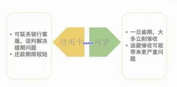 抚顺县信用卡违约现象探析：逾期还款、信用风险与治理策略