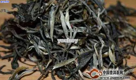 新 普洱茶精品千年古树茶价格一览表，详细解析与评价