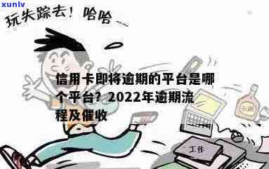 2022信用卡逾期借钱平台