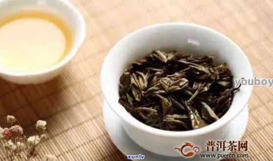 普洱茶有一股味正常吗？普洱茶为什么会有味道？