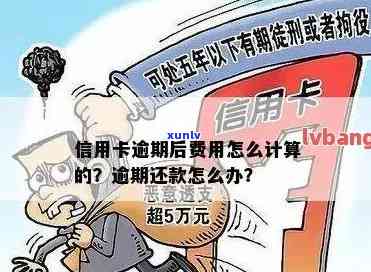 信用卡逾期还款费用计算：一天内需支付多少执行费？